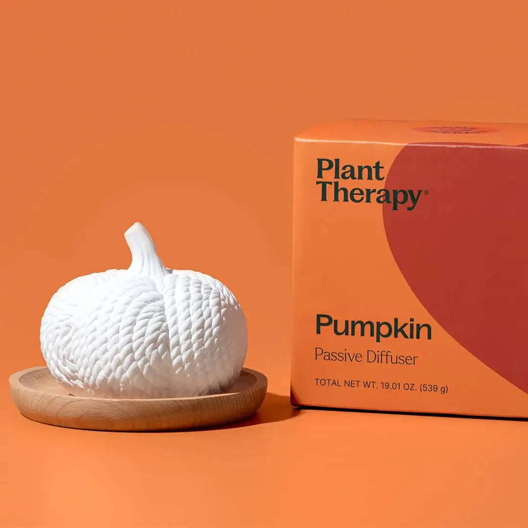 Pumpkin Diffuser