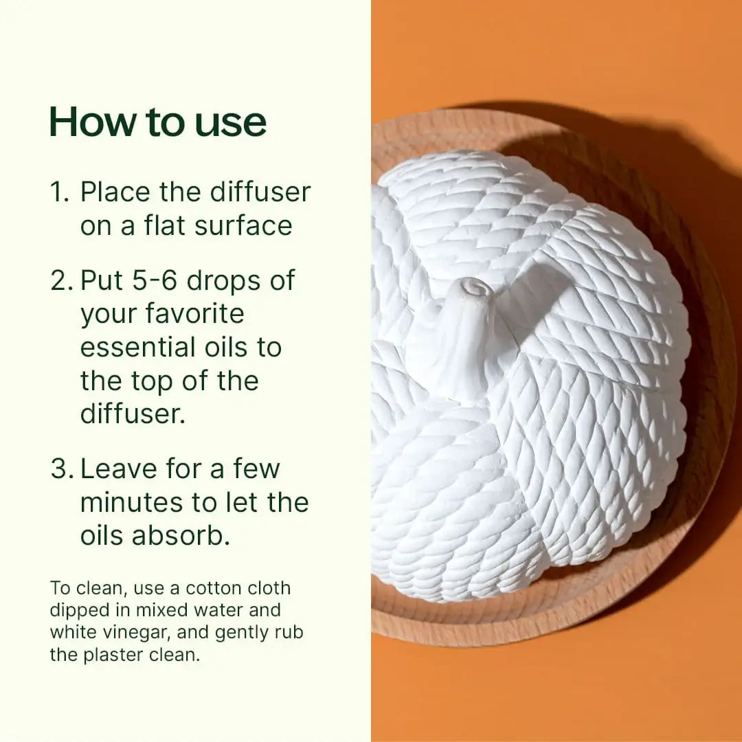 Pumpkin Diffuser