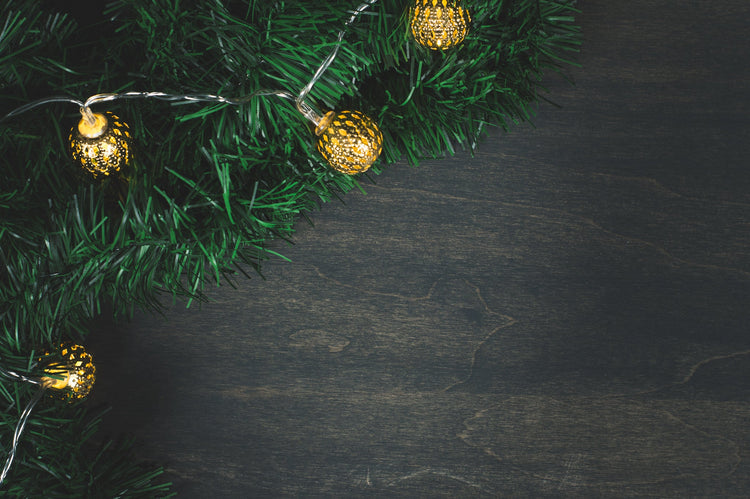 Holiday Gift Guide