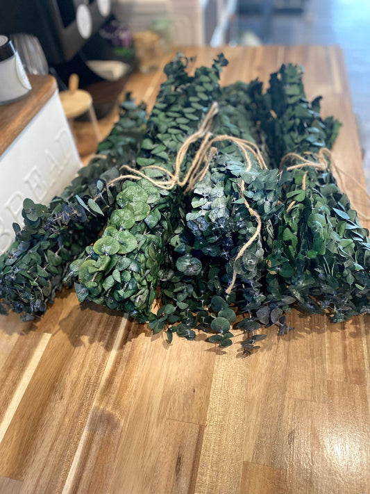 Fresh Eucalyptus