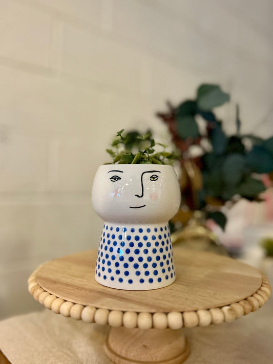 Small Picasso Planter/Vase