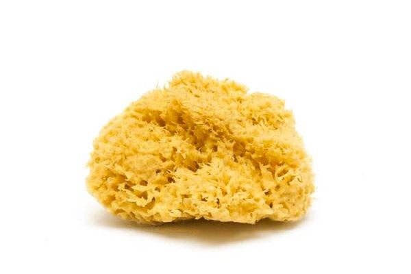 Plastic Free Natural Body Sponge