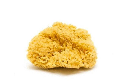 Plastic Free Natural Body Sponge