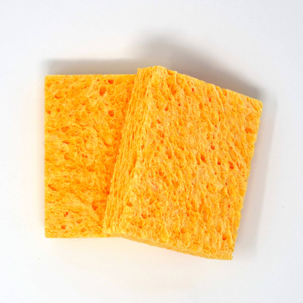 Compostable Sponges, 2 Pack