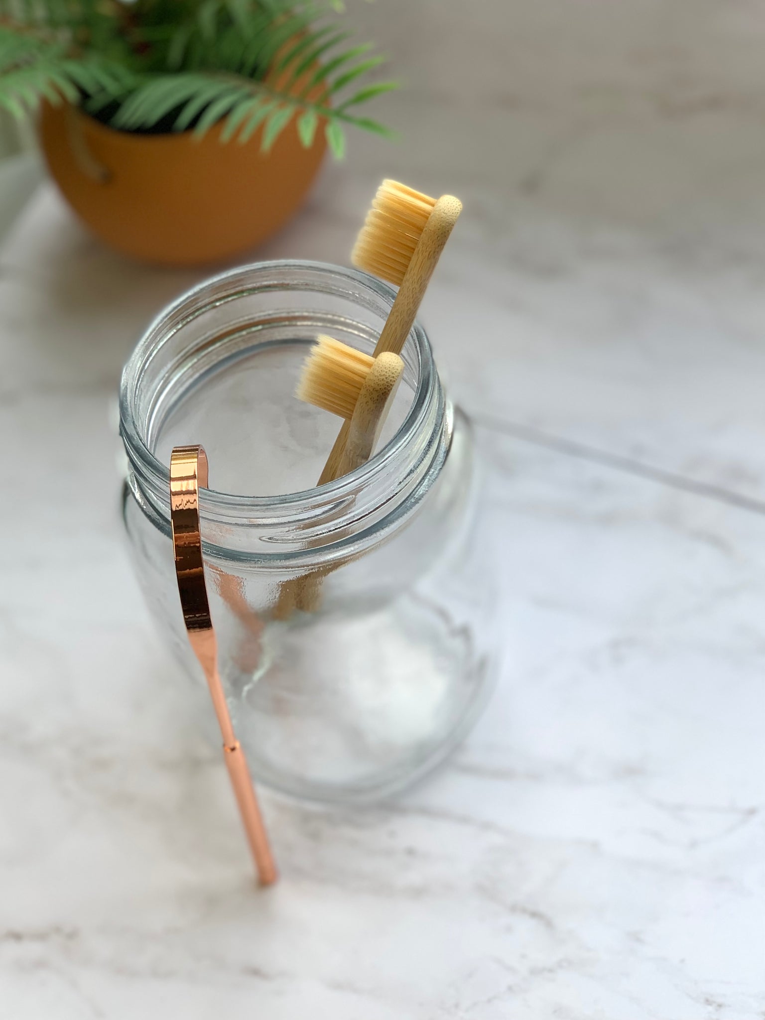 bamboo tooth brushes with tongue scraper