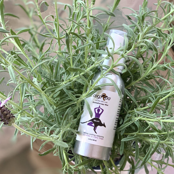 Aromatherapy mist with lavender plant