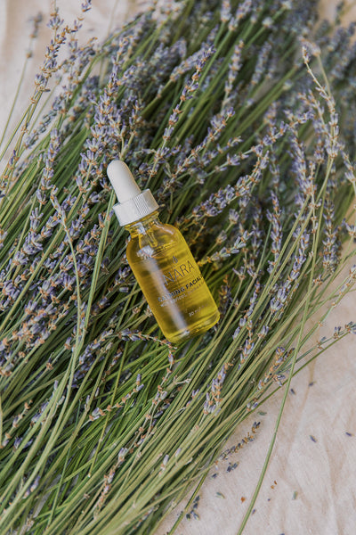 Calming Face Oil Bottle and Lavender